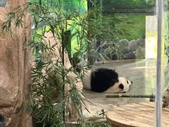 -临沂动植物园