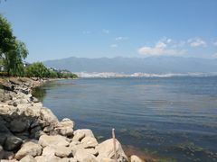 -野菌皇海景野生菌火锅(滨海大道店)