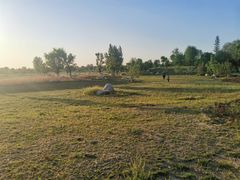 -汉长安城未央宫国家考古遗址公园