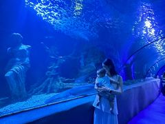 -太平洋海底世界