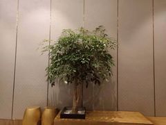 -领事馆19号中餐厅(厦门海景洲际酒店)