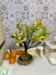 -橙沐普拉提瑜伽