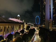 -新加坡摩天观景轮