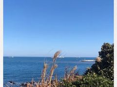 -龙头岩(Dragon Head Rock)