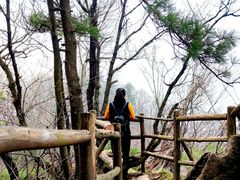 -王顺山国家森林公园
