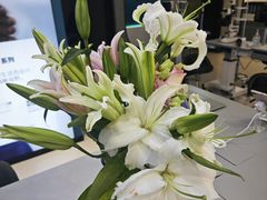 -宝岛眼镜(长沙侯家塘店)