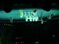 iphone_upload_pic-珠海横琴长隆《卡卡虎奇遇记》