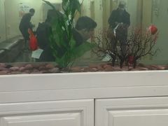 -慈铭体检(洋桥分院)