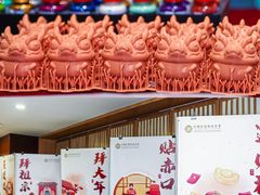 -中国宋庆龄青少年科技文化交流中心