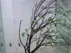 -极简口腔(总院)