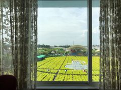 -广州花之恋城堡酒店