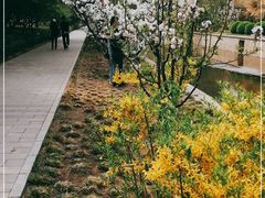 -元大都城垣遗址公园