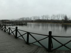 -溱湖国家湿地公园