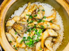 -红星光发煲仔饭(文海店)