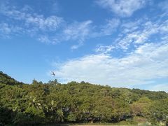 -深圳野生动物园