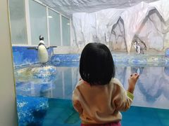 -太平洋海底世界