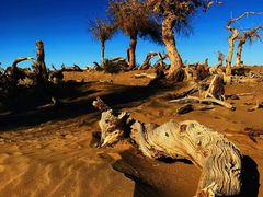 -沙漠世界地质公园