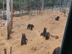 -泉州海丝野生动物世界