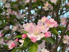 -天鹅湖体育公园