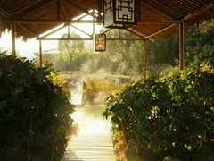 -芜湖黄河国际旅行社