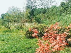 -桤木河湿地公园