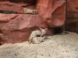 -Zoolung Zoolung动物主题公园(海信广场店)