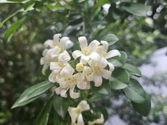 -一粥(华侨城创意文化园店)