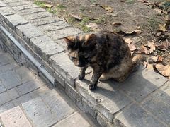 -长春观