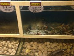 -泰白海鲜烧烤大全