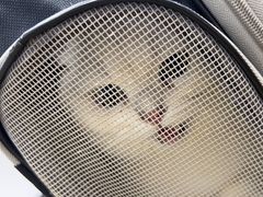 -东莞宠友24H宠物中心医院·转诊夜诊·异宠(新河北路院)