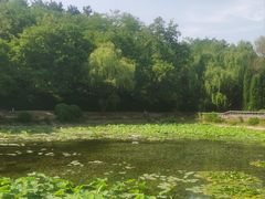 -棒棰岛宾馆景区