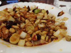 -邵年鸽(杨庄店)