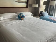 -上海嘉定喜来登酒店