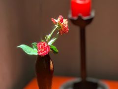 -觀芷隐轩