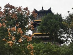 -东昌湖风景区