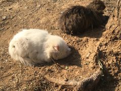 -北京西山国家森林公园