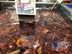 -盒马鲜生(红莲店)