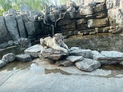 -北京野生动物园