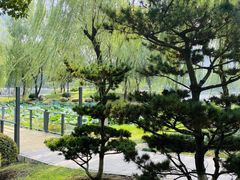 -后襄河公园