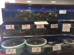 水产区-张树军海鲜(王府壹号店)
