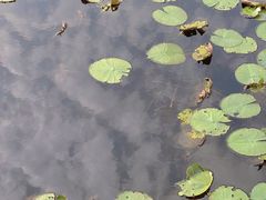 -尚贤河湿地