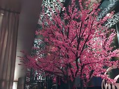 -金轩中餐厅 Jin Xuan(浦东丽思卡尔顿酒店)