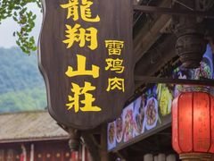 -龙翔山庄雷鸡肉(青城后山泰安古镇店)