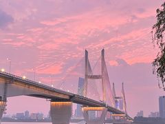 -武昌江滩