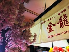 -金龙咖喱