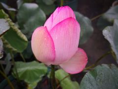 -龙环葡韵住宅式博物馆