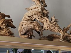 -尕胡才炕锅烤羊肉馆(八一路店)