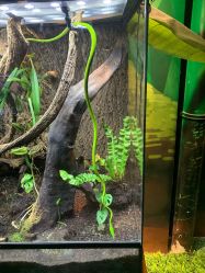 -酷嗒动物文化乐园(cutezoo西溪乐天城店)