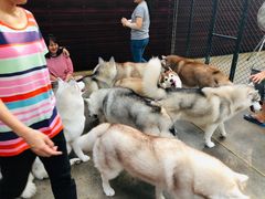 -TrueLove @ Neverland (Husky Cafe)
