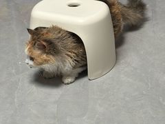 -佳雯宠物医院·皮肤科·内外科(春晓路分院)